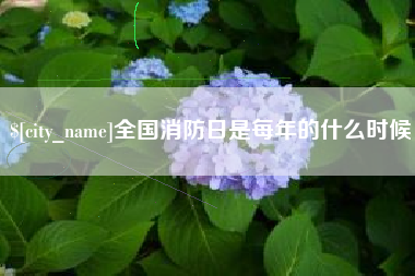 阿勒泰全国消防日是每年的什么时候