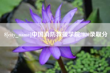 阿勒泰中国消防救援学院2020录取分