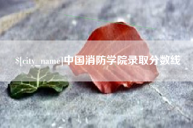 阿勒泰中国消防学院录取分数线