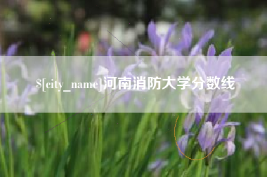 阿勒泰河南消防大学分数线