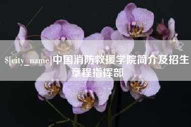 阿勒泰中国消防救援学院简介及招生章程指挥部