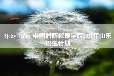 阿勒泰中国消防救援学院2021年山东招生计划