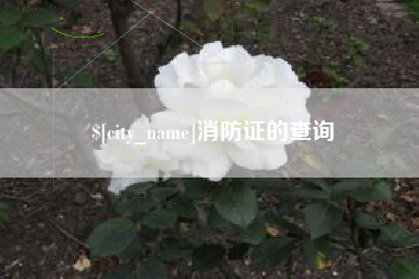 阿勒泰消防证的查询