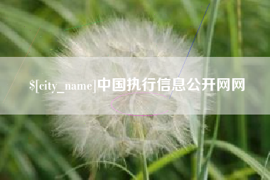 阿勒泰中国执行信息公开网网