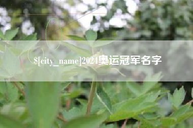 阿勒泰2024奥运冠军名字
