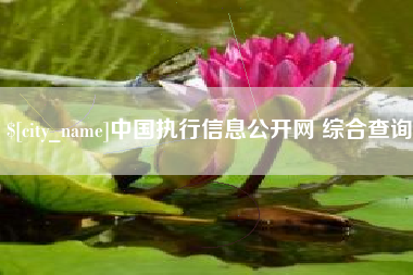 阿勒泰中国执行信息公开网 综合查询