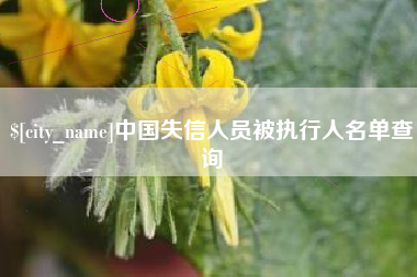 阿勒泰中国失信人员被执行人名单查询