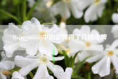阿勒泰中国金牌得了几枚金牌
