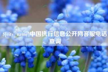 阿勒泰中国执行信息公开网客服电话查询