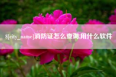 阿勒泰消防证怎么查询,用什么软件