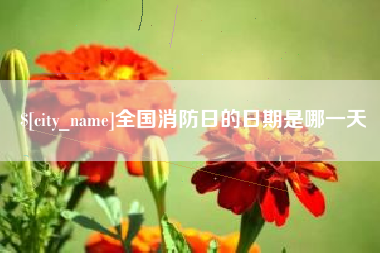 阿勒泰全国消防日的日期是哪一天