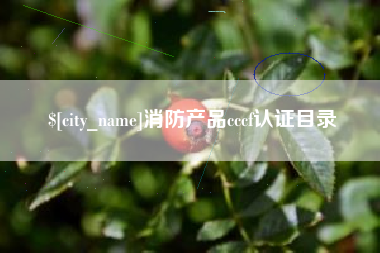 阿勒泰消防产品cccf认证目录