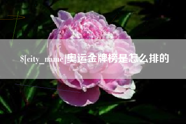 阿勒泰奥运金牌榜是怎么排的