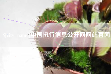 阿勒泰中国执行信息公开网网站官网