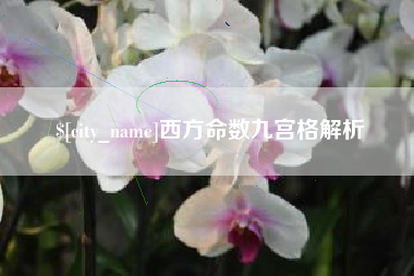 阿勒泰西方命数九宫格解析