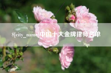 阿勒泰中国十大金牌律师名单