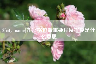 阿勒泰九宫格位置重要程度排序是什么意思