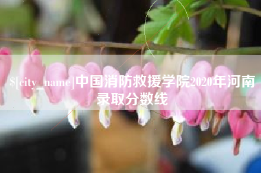 阿勒泰中国消防救援学院2020年河南录取分数线