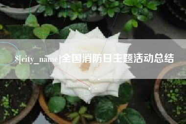 阿勒泰全国消防日主题活动总结
