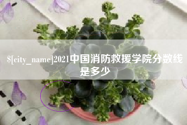 阿勒泰2021中国消防救援学院分数线是多少