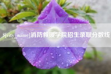 阿勒泰消防救援学院招生录取分数线