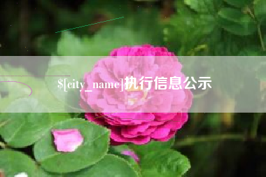 阿勒泰执行信息公示