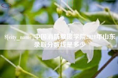 阿勒泰中国消防救援学院2021年山东录取分数线是多少