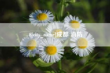 阿勒泰成都 消防