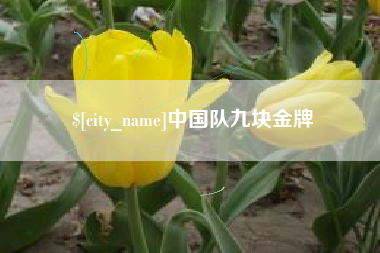 阿勒泰中国队九块金牌