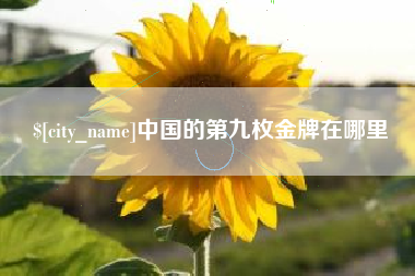 阿勒泰中国的第九枚金牌在哪里