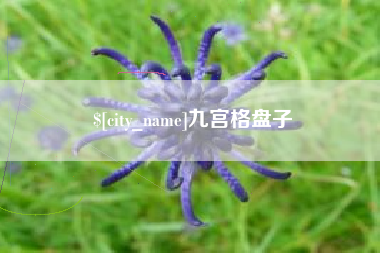 阿勒泰九宫格盘子
