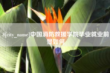 阿勒泰中国消防救援学院毕业就业前景如何