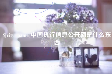 阿勒泰中国执行信息公开网是什么东西