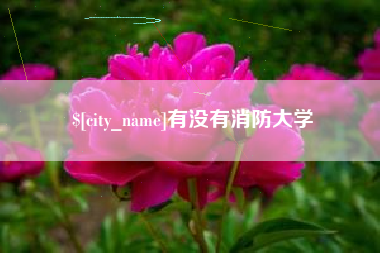 阿勒泰有没有消防大学
