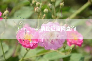 阿勒泰消控证官网查询