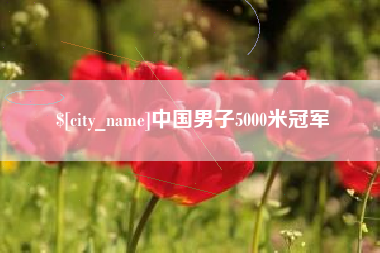 阿勒泰中国男子5000米冠军
