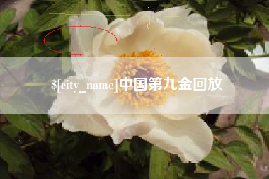 阿勒泰中国第九金回放