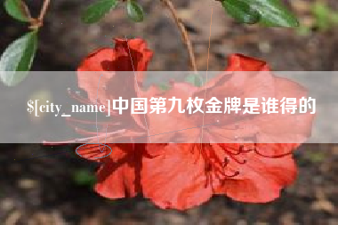 阿勒泰中国第九枚金牌是谁得的