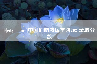 阿勒泰中国消防救援学院2021录取分数