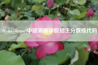 阿勒泰中国消防学校招生分数线代码