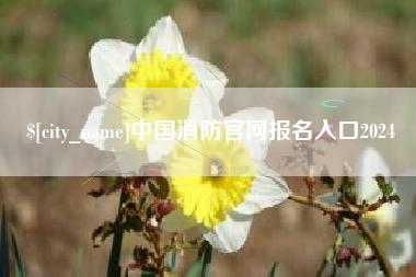 阿勒泰中国消防官网报名入口2024