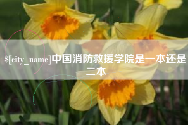 阿勒泰中国消防救援学院是一本还是二本