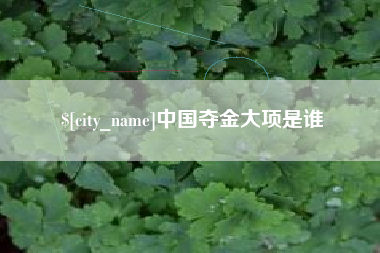 阿勒泰中国夺金大项是谁