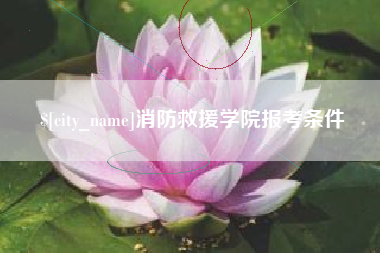 阿勒泰消防救援学院报考条件