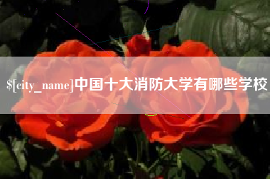 阿勒泰中国十大消防大学有哪些学校