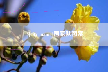 阿勒泰国家队图案