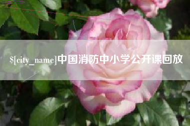 阿勒泰中国消防中小学公开课回放
