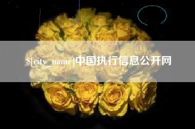 阿勒泰中国执行信息公开网