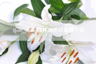 阿勒泰森林消防日是哪一天