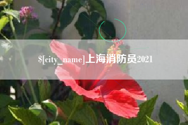 阿勒泰上海消防员2021